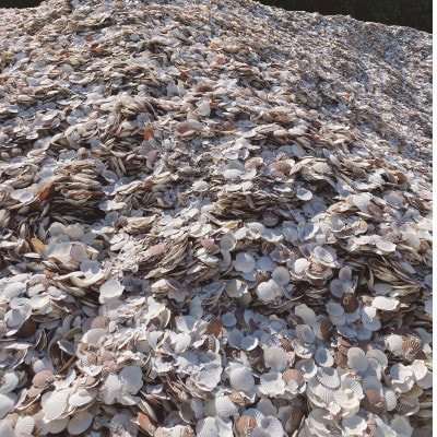 「ほたての貝殻」から生まれたサステナブルポリッシュ　CYAN(水縹、卯波、橙海、海明)4色セット【1331576】