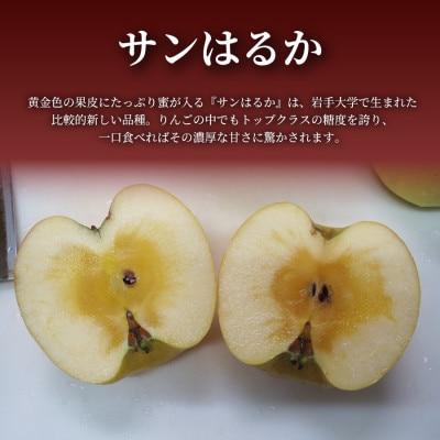 【青森直送 季節の味覚をお届け!】サンはるか 3個入×5箱(贈答用)青森産 産地直送 限定生産【配送不可地域：離島】【1700926】