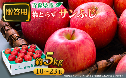 【贈答用にもどうぞ】 青森市産りんご「葉取らずサンふじ」約5kg【配送不可地域：離島・沖縄県】【1466367】