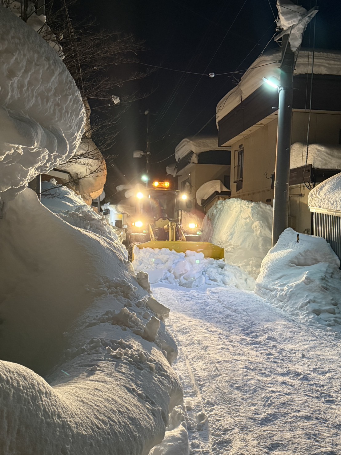 莉、蜥8蟷エ1譛郁アェ髮ェ轣ス螳ウ
