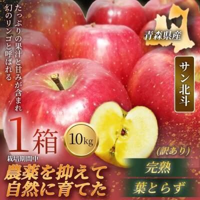 【青森直送 季節の味覚をお届け!】サン北斗(幻のサン北斗)10kg×1箱(訳あり)青森産 産地直送【配送不可地域：離島】【1700962】