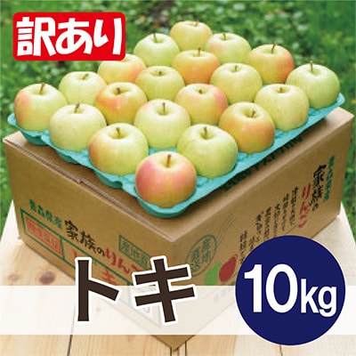 【2026年11月より順次発送】青森りんご トキ 約10kg 訳あり 平均糖度13度以上!【配送不可地域：沖縄県】【1608006】