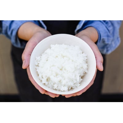 【五つ星お米マイスター厳選】青森県産　まっしぐら　白米10kg【1676690】