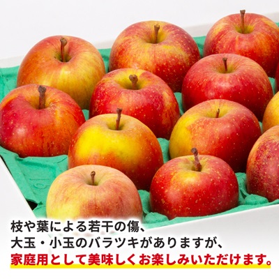 青森市産りんご「葉取らずサンふじ」約5kg(家庭用)【配送不可地域：離島・沖縄県】【1272641】