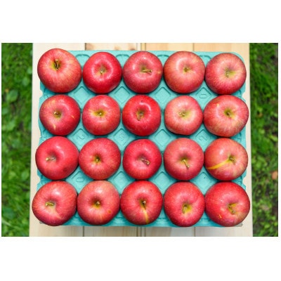 【2025年11月発送予定】平均糖度13度以上! 早生ふじ 約5kg おもてなし用【配送不可地域：離島・沖縄県】【1607551】