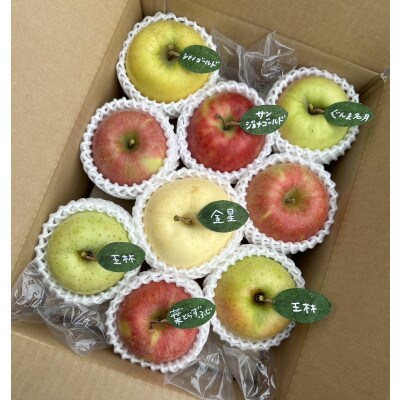 先行受付【青森市産・5品種詰め合わせ】約3kg(家庭用)【配送不可地域：離島・沖縄県】【1181958】