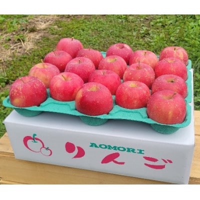 【訳あり】青森県産りんご「早生ふじ 家庭用」約5kg　産地直送!【配送不可地域：離島】【1513094】