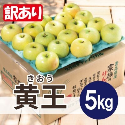 青森りんご 8〜9月発送 黄王(きおう) 約5kg 訳あり クール便 平均糖度12度以上!【配送不可地域：離島・沖縄県】【1606636】