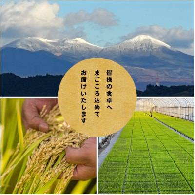 【先行予約受付】令和8年　青森県産まっしぐら　玄米30kg　彩北米【配送不可地域：離島・沖縄県】【1707798】