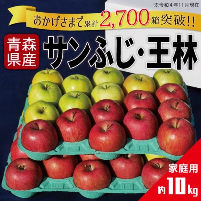 りんご サンふじ＆王林 家庭用 計10kg (各約5kg)【配送不可地域：離島・沖縄県】【1331518】