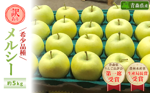 【希少品種】「メルシー」約5kg・訳あり家庭用りんご 青森市長賞受賞【配送不可地域：離島・沖縄県】【1106862】