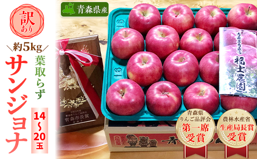 「葉とらずサンジョナ」約5kg・訳あり家庭用りんご 青森市長賞受賞【配送不可地域：離島・沖縄県】【1106868】