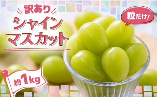 縲仙郁。御コ育エ縲醍セ主袖縺励&縺ッ縲悟ッ呈囑蟾ョ縲阪↓縺ゅj 邊偵□縺!髱呈」ョ蟶ら肇縲占ィウ縺ゅj縲代す繝」繧、繝ウ繝槭せ繧ォ繝繝(邏1kg)縲宣埼∽ク榊庄蝨ー蝓滂シ夐屬蟲カ縲代1613276縲