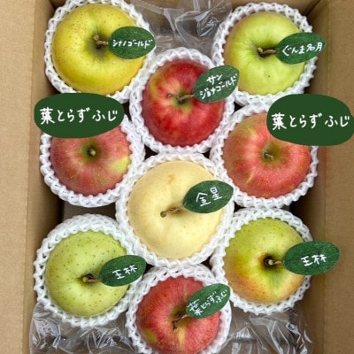 先行受付【青森市産・5品種詰め合わせ】約3kg(家庭用)【配送不可地域：離島・沖縄県】【1181958】