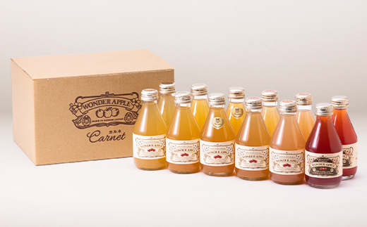 カルネ りんごジュース 12本セット【1076429】