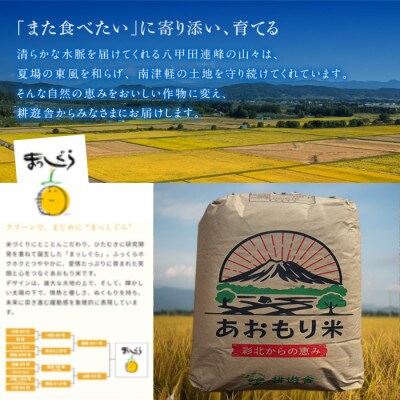 【先行予約受付】令和8年　青森県産まっしぐら　玄米10kg　彩北米【配送不可地域：離島・沖縄県】【1714452】