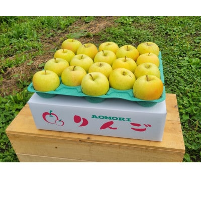 【訳あり】青森県産りんご「トキ　家庭用」約5kg　産地直送!【配送不可地域：離島】【1513093】