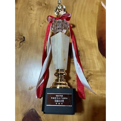 「葉とらずつがる」約5kg・訳あり家庭用りんご【配送不可地域：離島・沖縄県】【1106866】