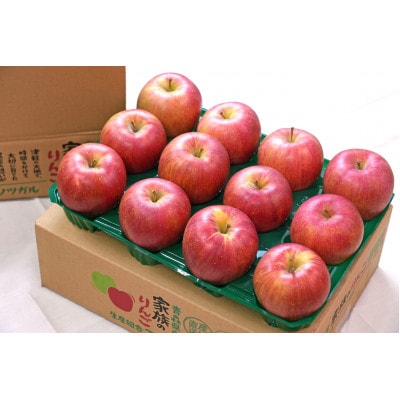 【26年2月出荷予定】平均糖度13度以上! シナノスイート 約5kg 訳あり【配送不可地域：離島・沖縄県】【1612864】