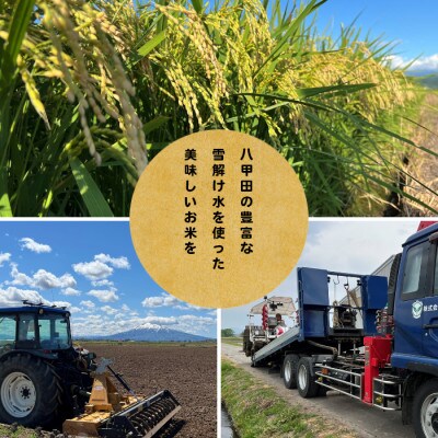 【先行予約受付】令和8年　青森県産まっしぐら　玄米10kg　彩北米【配送不可地域：離島・沖縄県】【1714452】