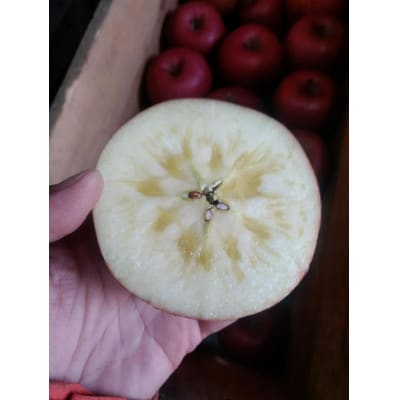 青森県産　葉とらずサンふじ 約5kg (約14〜20個)家庭用訳あり【配送不可地域：離島・沖縄県】【1356466】