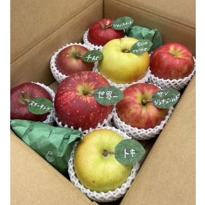 先行受付【青森市産・5品種詰め合わせ】約3kg(家庭用)【配送不可地域：離島・沖縄県】【1181958】