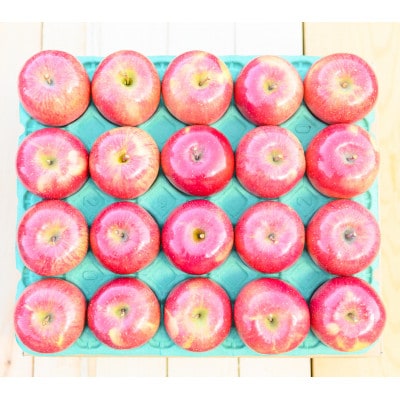 【25年11月出荷予定】平均糖度13度以上! サンふじ 約10kg 贈答用【配送不可地域：離島・沖縄県】【1612828】