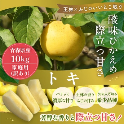 【10月から発送予定】訳あり 青森りんご トキ 約10kg ふじと王林の良いところ取り【配送不可地域：離島・沖縄県】【1606638】