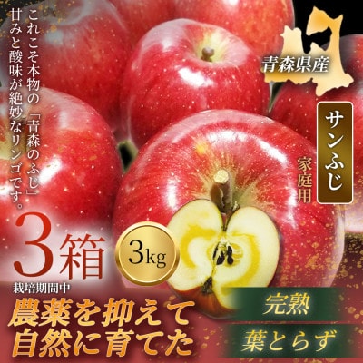 【青森直送 季節の味覚をお届け!】サンふじ 3kg×3箱(家庭用)青森産 産地直送 限定生産【配送不可地域：離島】【1700917】