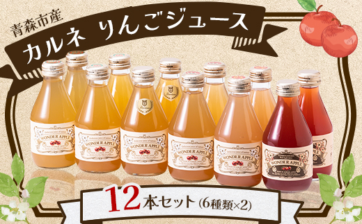 カルネ りんごジュース 12本セット【1076429】