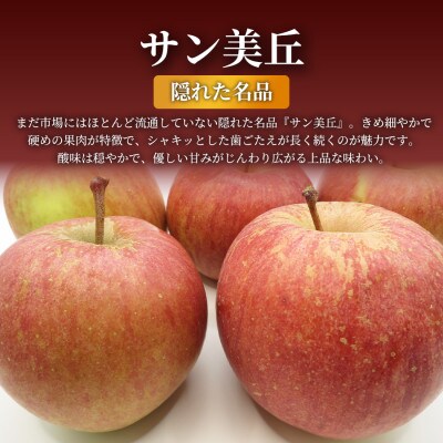 【青森直送 季節の味覚をお届け!】サン美丘 3kg×3箱(家庭用)青森産 産地直送 限定生産【配送不可地域：離島】【1700934】
