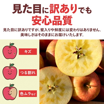 【訳あり】青森県産りんご「サンふじ家庭用」約5kg　産地直送!【配送不可地域：離島】【1321109】