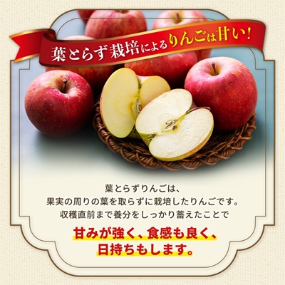 青森市産りんご「葉取らずサンふじ」約5kg(家庭用)【配送不可地域：離島・沖縄県】【1272641】