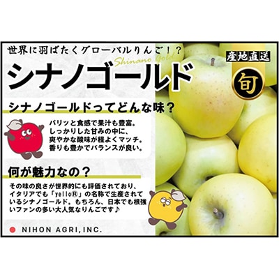 【26年2月出荷予定】平均糖度13度以上! シナノゴールド 約10kg 訳あり【1612917】
