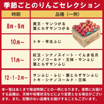 【発送月固定定期便】【26年9月〜11月】青森りんご 訳あり 品種おまかせ 10kg全3回【配送不可地域：離島・沖縄県】【4066847】