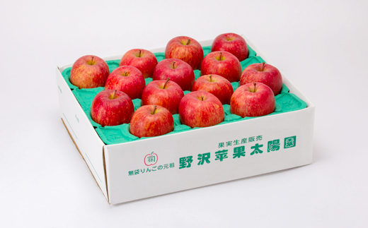 【贈答用にもどうぞ】 青森市産りんご「葉取らずサンふじ」約5kg【配送不可地域：離島・沖縄県】【1466367】