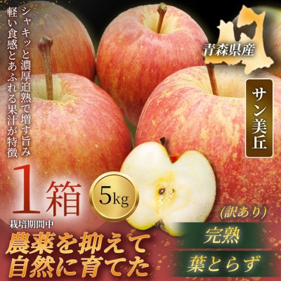 【青森直送 季節の味覚をお届け!】サン美丘 5kg×1箱(訳あり)青森産 産地直送 限定生産【配送不可地域：離島】【1700933】