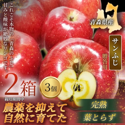 【青森直送 季節の味覚をお届け!】サンふじ 3個入×2箱(贈答用)青森産 産地直送 限定生産【配送不可地域：離島】【1700950】