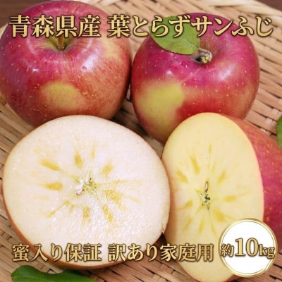 【26年11月〜12月発送予定】平均糖度13度以上! 葉とらずサンふじ 約10kg 訳あり 蜜保証【配送不可地域：離島・沖縄県】【1607470】
