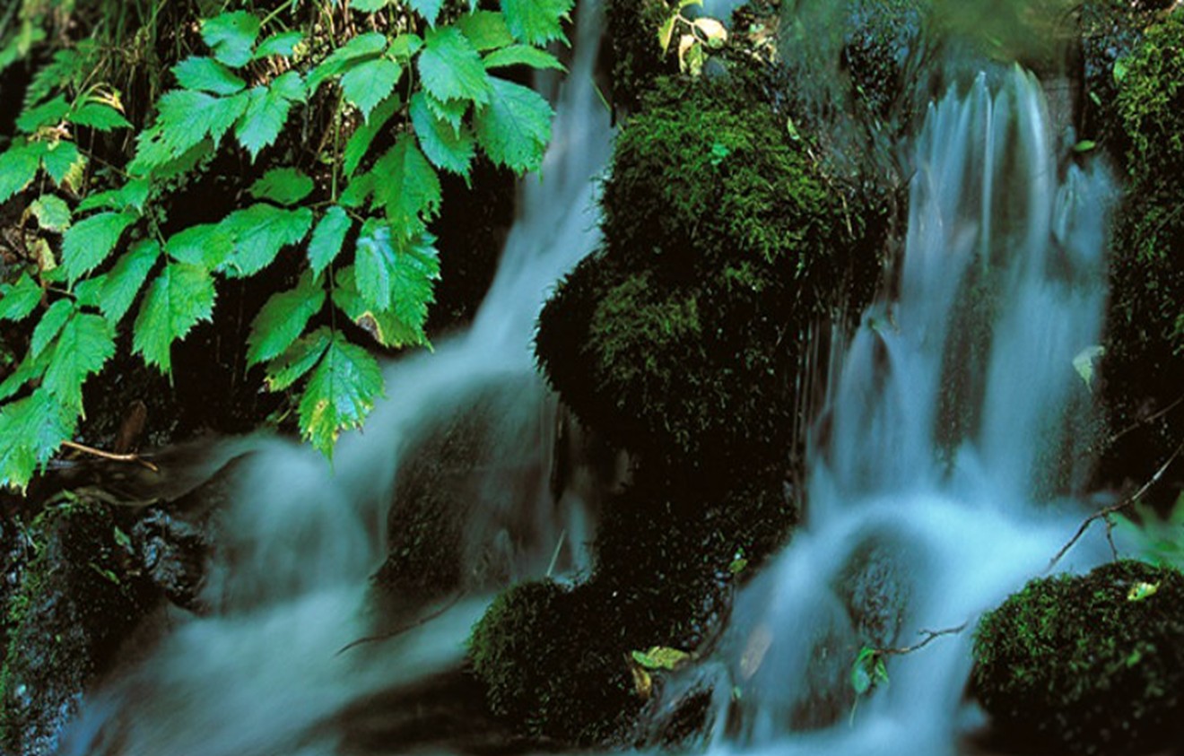 【水道】安全でおいしい水を　いつまでも　守り　育み　次世代への継承など