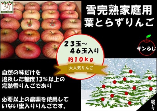 りんご 【 数量限定 】12月発送 訳あり 蜜入り 糖度13度以上 家庭用 雪完熟 葉とらずサンふじ 約 10kg 23～46個【 弘前市産 青森りんご 】