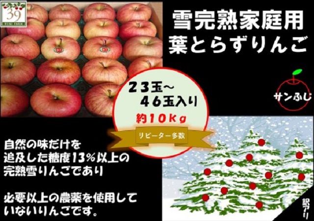 りんご 【 数量限定 】1～2月発送 訳あり 糖度13度以上 家庭用 雪完熟 葉とらずサンふじ 約 10kg 23～46個【 弘前市産 青森りんご 】