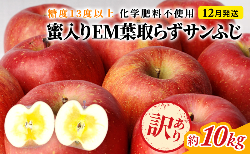 りんご 【 12月発送 】 訳あり 蜜入り EM 葉取らず サンふじ 約 10kg 糖度 13度以上 【 弘前市産 青森りんご 】 リンゴ 果物 青森 弘前 家庭用