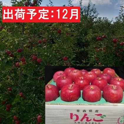 12月発送 蜜入り 最高等級「特選」大玉 葉とらず サンふじ 約5kg 糖度14度以上 【 弘前市産 青森りんご 】※オンライン決済のみ