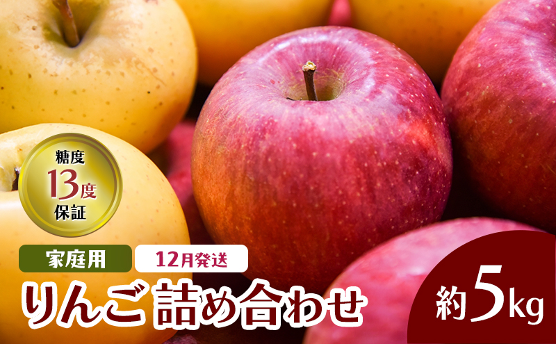 12月発送 家庭用 りんご詰め合わせ 約5kg 2種以上 糖度13度以上  岩木山観光りんご園 弘前市産 青森りんご サンふじ