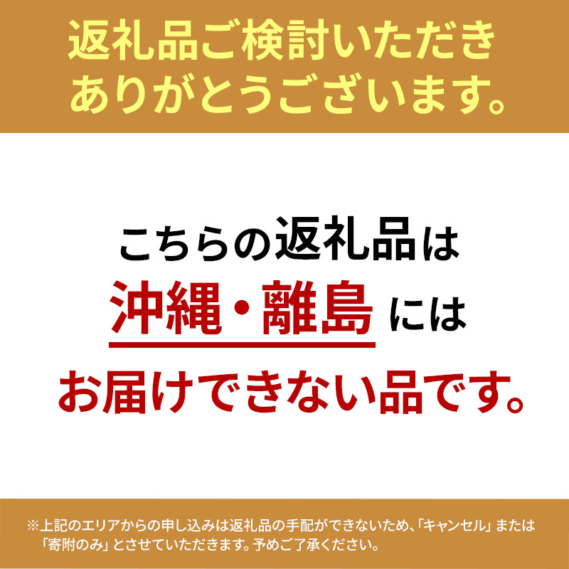 【4月クール便発送】(13度糖度保証) 贈答用 CA貯蔵 サンふじ 約3kg【弘前市産・青森りんご】