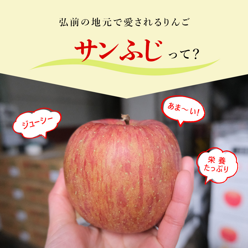 【4月クール便発送】(13度糖度保証) 贈答用 CA貯蔵 サンふじ 約3kg【弘前市産・青森りんご】