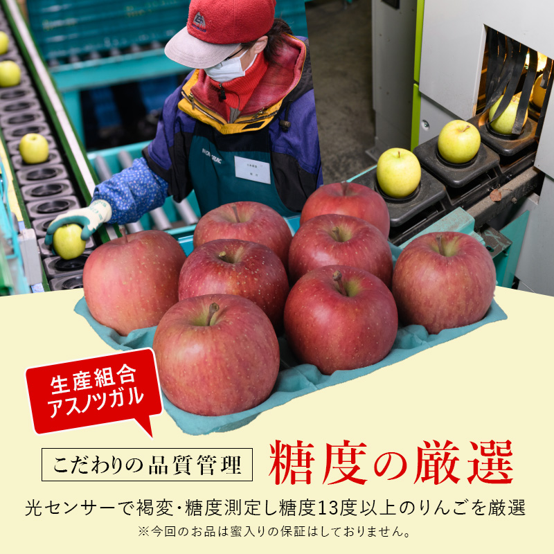 【4月クール便発送】(13度糖度保証) 贈答用 CA貯蔵 サンふじ 約3kg【弘前市産・青森りんご】