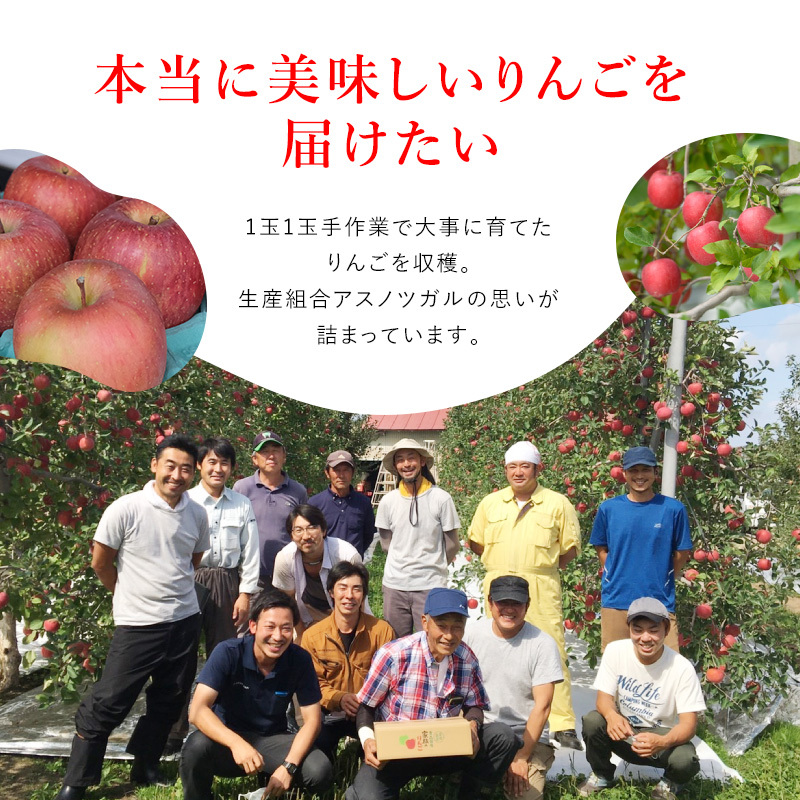 【4月クール便発送】(13度糖度保証) 贈答用 CA貯蔵 サンふじ 約3kg【弘前市産・青森りんご】