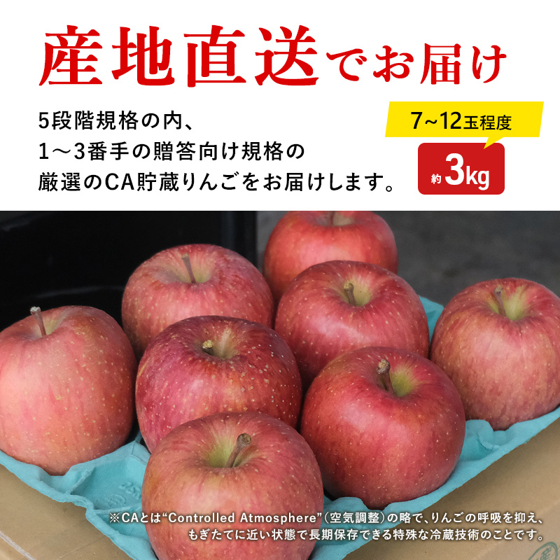 【4月クール便発送】(13度糖度保証) 贈答用 CA貯蔵 サンふじ 約3kg【弘前市産・青森りんご】